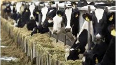 India News | Revolutionizing Dairy Industry: Baramulla District Leads Jammu and Kashmir's White Revolution with Remarkable Growth