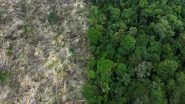 World News | Brazil: Amazon Nations Launch Alliance to Protect Rainforest, Fail to Agree on Common Goal