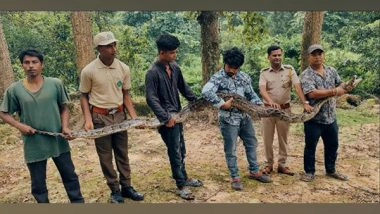 India News | Locals Rescue 18-feet Long Python from Tea Garden in Assam's Nagaon