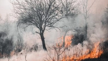 World News | US: Death Toll Rises to 36 in Deadly Wildfires in Hawaii