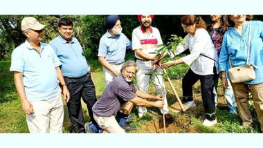 Business News | One Thousand Amaltas Trees Planted in Buddha Jayanti Park