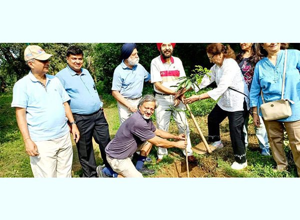Business News | One Thousand Amaltas Trees Planted in Buddha Jayanti Park