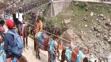 India News | Uttarakhand: Horses, Mules Plying on Char Dham Yatra Route to Get Better Facilities