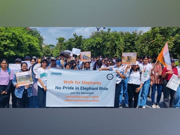 Business News | End Elephant Rides, Urges World Animal Protection During Citizens' Walk to Rajasthan Chief Minister on Occasion of World Elephant Day - Vimarsana News