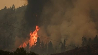 World News | Summer Turned into Challenging Marathon, We Will Likely Experience More Fire Activity: Canadian Officials