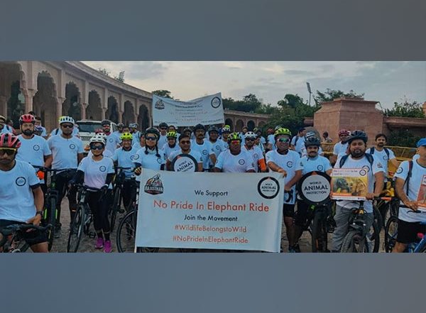 Business News | Stop Elephant Rides in Amer Fort, Urges World Animal Protection and Rajasthan Road Riders to Rajasthan Chief Minister on Occasion of World Elephant Day