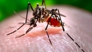 World News | Bangladesh Reports 14 More Deaths Due to Dengue, Death Toll Reaches 387&nbsp;