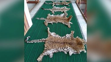 India News | Eight Arrested with Four Leopard Skins in J-K’s Srinagar