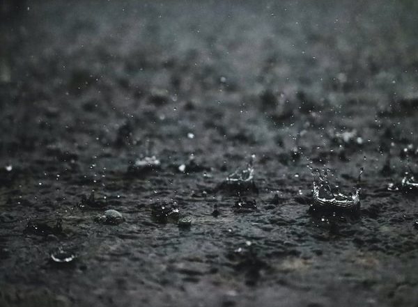 Monsoon Rain Forecast: Possibility of Heavy Rains in Areas of Punjab, Haryana for Next 3 Days, Says IMD