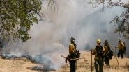 World News | Israeli-druze Fire Fighter Dies Saving a Life