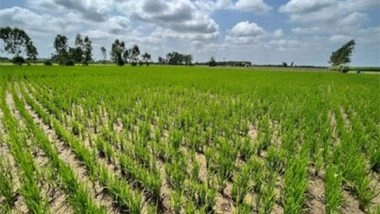 Business News | Bayer, GenZero and Shell Collaborate to Reduce Methane Emissions in Rice Cultivation