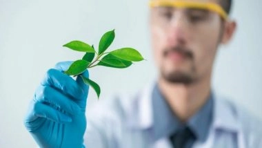 Science News | Human Love of Nature Can Be Attributed to Heredity and Environment: Study