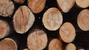 World News | Pakistan: Kohistan Residents Allege Timber Smuggling