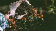 Science News | Soils Pay Key Role in Keeping the Planet Cool: Study