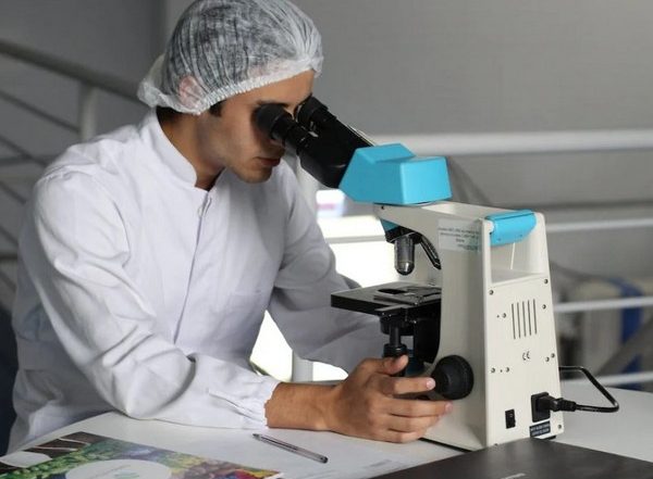 Science News | Scientists Creates Effective Spray Method for Bioactive Materials: Study