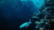 Science News | Tree Reefs Can Help Revive Aquatic Life in Waters: Study