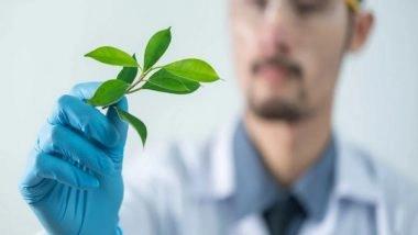 Science News | Heatwaves Are Getting More Deadly and Frequent