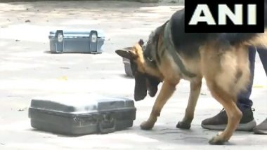 G20 Summit: Delhi Police's Dog Squad Conducts Security Drills for Detection of Dummy Explosives (Watch Video)