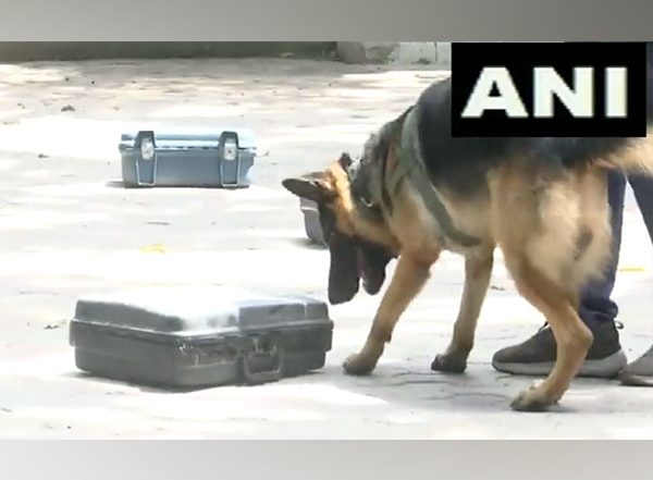 G20 Summit: Delhi Police's Dog Squad Conducts Security Drills for Detection of Dummy Explosives (Watch Video)