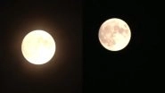Science News | Super Blue Moon Lights Up Sky