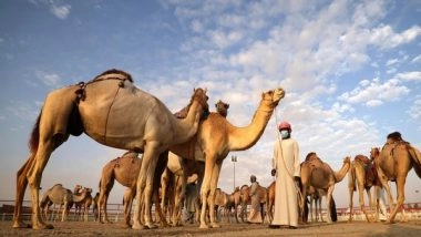 World News | Under UAE President's Patronage, Al Dhafra Festival Kicks off October 21