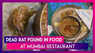 Dead Rat Found In Food At Mumbai Restaurant: Customer Finds Rodent Meat In Chicken Gravy; Manager & Two Chefs Arrested