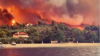 Greece Wildfires: More Than 600 Firefighters Backed by Water-Dropping Aircraft Struggle to Control Bushfires in Evros and Alexandroupolis
