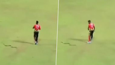 Isuru Udana Has a Lucky Escape After Snake Enters Field During B-Love Kandy vs Jaffna Kings LPL 2023 Match, Video Goes Viral