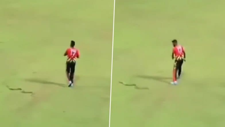 Watch: Snake trouble continues in LPL, pacer Isuru Udana makes