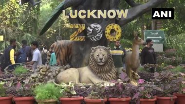 White Tigress Indra Bites Off Her Own Tail at Nawab Wajid Ali Shah Zoological Garden in Lucknow