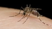 USFDA Approves World&rsquo;s First Chikungunya Vaccine Ixchitq Developed by French Biotech Company Valneva
