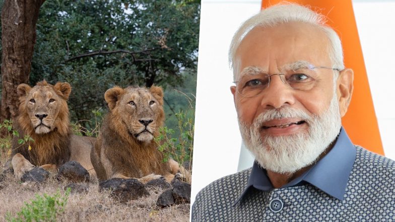 World Lion Day 2023: PM Narendra Modi Shares Beautiful Photos of Lion