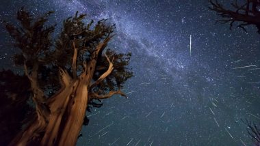 Perseid Meteor Shower 2023 Date and Peak Time: What Are Perseids? When, Where and How To See the Celestial Event in August