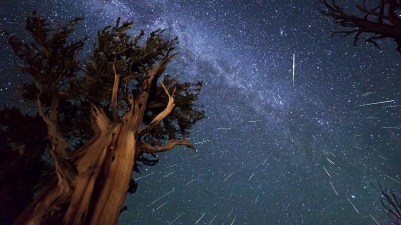 Perseid Meteor Shower 2023 Date and Peak Time: What Are Perseids? When, Where and How To See the Celestial Event in August