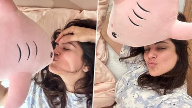 Shraddha Arya Shares Pics From Her Cosy Birthday Celebration With Hubby Rahul Nagal (View Post)