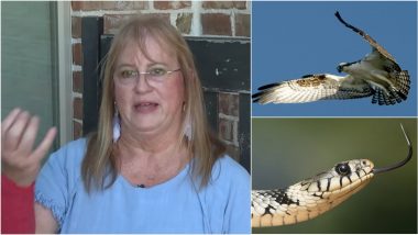 Snake Falls From Sky on Texas Woman, Gets Badly Attacked by Both Snake and Hawk That Dropped It Onto Her (Watch Video)