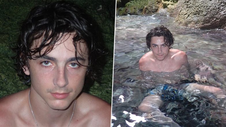 Timothée Chalamet Sets Internet on Fire With His New Shirtless Pics!