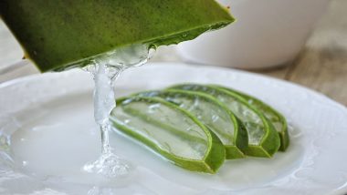 Aloe Vera Gel for Hair: How To Use the Hydrating Super-Plant To Induce Hair Growth & Help Damage Repair