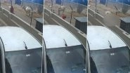 Cow Attack in Gujarat Video: Stray Cows Attack, Knock Woman Down on Ahmedabad Street, Disturbing Clip Goes Viral