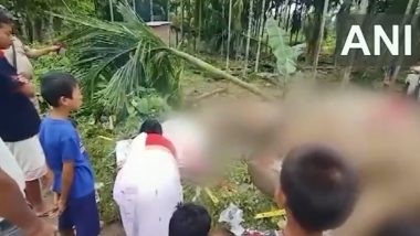 Elephants Electrocuted in Assam: Mother Elephant and Two Calves Electrocuted to Death While Trying to Bring Down Betel Nut Tree at Tea Estate (Watch Video)