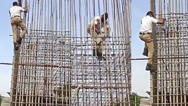 Hyderabad Cop Saves Kitten Stranded on Under Construction Pillar on Uppal Ring Road, Heartwarming Video Goes Viral