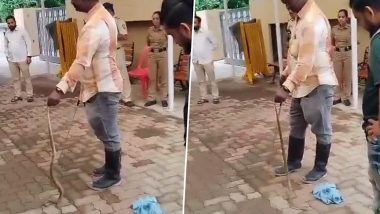 Snake Found at Matoshree: King Cobra Spotted in Parking Lot of Uddhav Thackeray's Residence in Mumbai, Rescued (Watch Video)