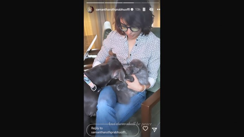 Samantha Ruth Prabhu Becomes a Peacemaker for Two Adorable Puppies, Internet Is in Love (View Pic)