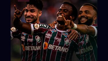 Brazil's Serie A: Fluminense Beat Palmeiras to Rise to Third