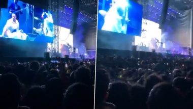 Lana Del Rey's Mexico Concert: Domino Effect Wave Knocks Over Several Fans in Audience (Watch Video)