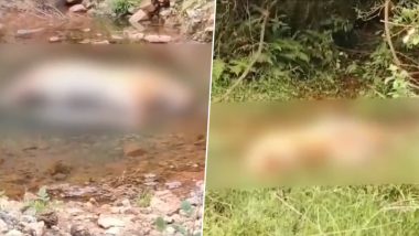 Tamil Nadu: Two Tigresses Found Dead Under Suspicious Circumstances in Nilgiris, Probe On (Watch Video)