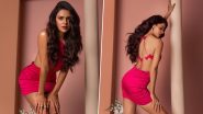 Priyanka Chahar Choudhary Channels Her Inner Barbie In Sexy Pink Midi Dress; Ankit Gupta Reacts (View Post)