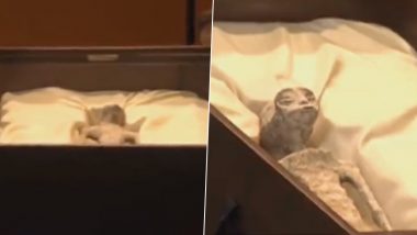 Mexico: 1,000 Years Old Two Mummified Corpses of 'Alien' Displayed in Mexican Congress by UFO Expert (Watch Video)