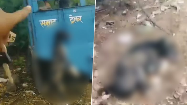 Dog Hanged to Death in Maharashtra Video: Man Mercilessly Kills Stray Canine for Damaging Tractor's Seat in Jalgaon, Disturbing Clips Emerges