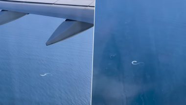 Father Signals Daughter With an Infinity Sign From the Ocean as She Takes Off On a Plane to Europe, Wholesome Video Goes Viral